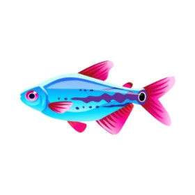 Bladestripe Tetra